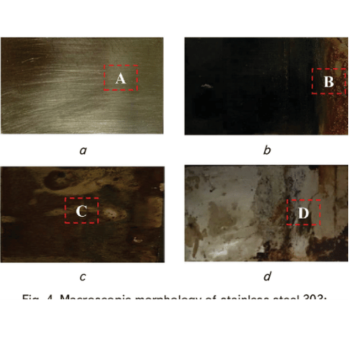 Macroscopic morphology of stainless steel 303: a – before the test; b – 27 ppt; c – 31 ppt; d – 35 ppt 