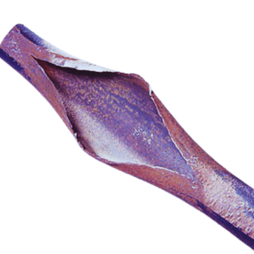 What are the causes of boiler tube failure?